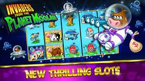 Sports and casino-style Big Wins discussion for 800 bd users